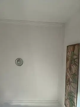 Casaldriks webcam