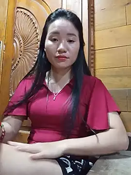 Td3di webcam