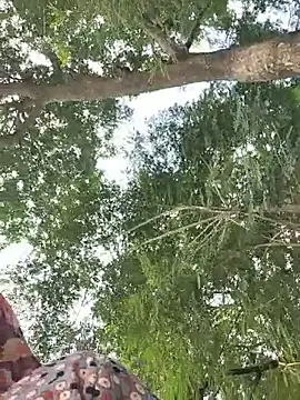 Co_punam