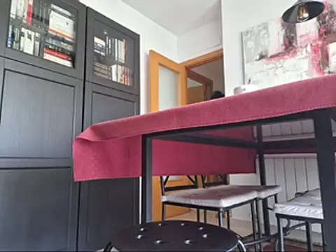 LEIRIS_Y_FRED_01 webcam