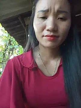 Td3di webcam