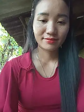 Td3di webcam
