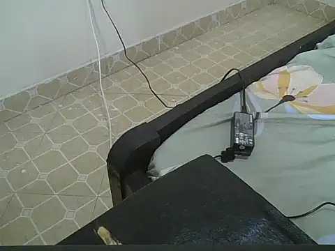 vanillapieh webcam