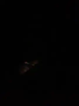 Ldnick69
