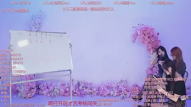 CJL-101 webcam