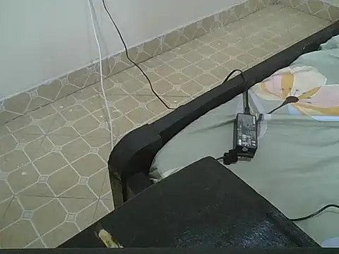 vanillapieh webcam