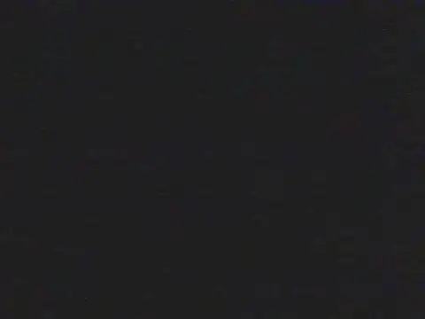 shugabaibe webcam
