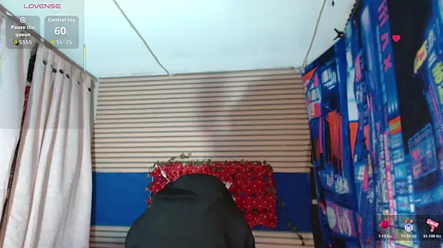 rosse_2504 webcam