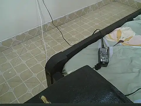 vanillapieh webcam