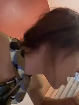 DarkDesin webcam