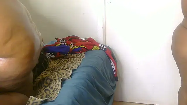 ASSIOLOGIST webcam