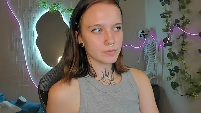 Elastikisss webcam