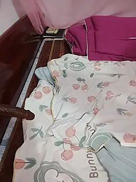 Phoebe-e webcam
