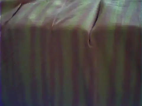 VeneRed webcam