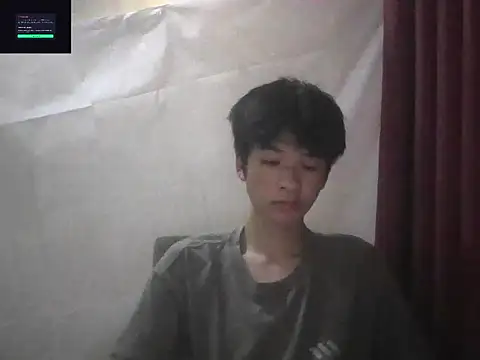 zwc webcam