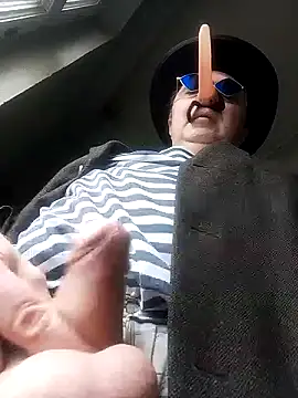 Pokaz2020 webcam