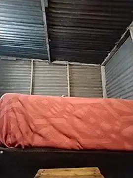 alphamale25 webcam