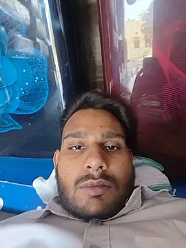 Bull_young2 webcam