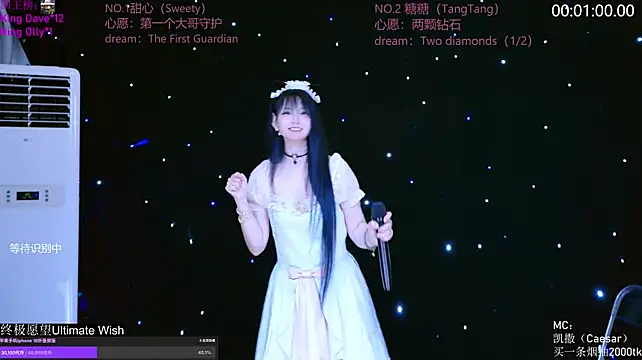 CCTW-100 webcam