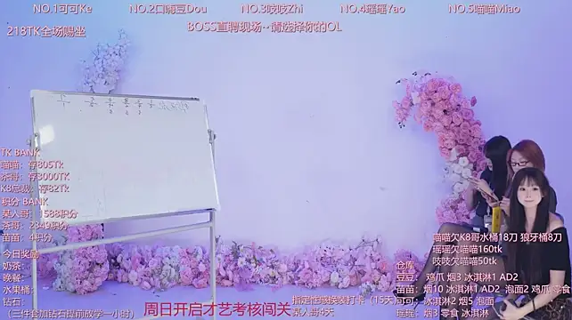 CJL-101 webcam