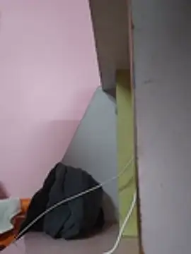 NewModel15cm webcam