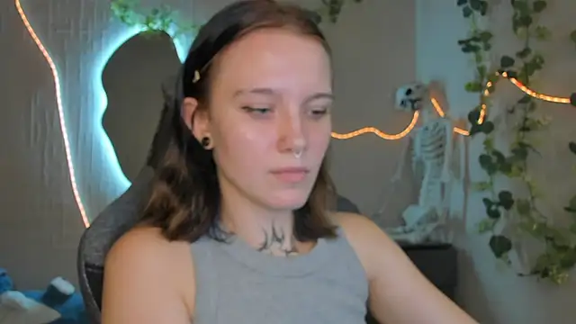Elastikisss webcam