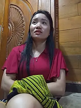 Td3di webcam