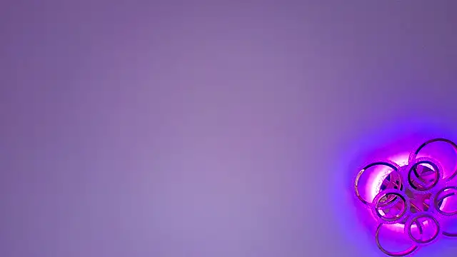 PerryKitty webcam