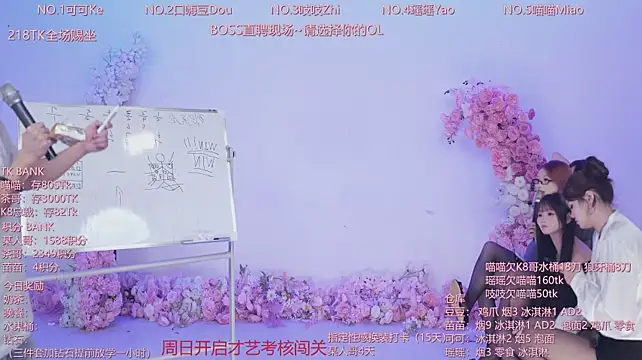 CJL-101 webcam