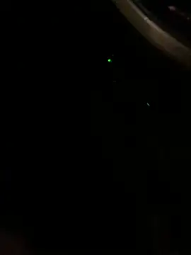 zoujiayu2121 live cam preview