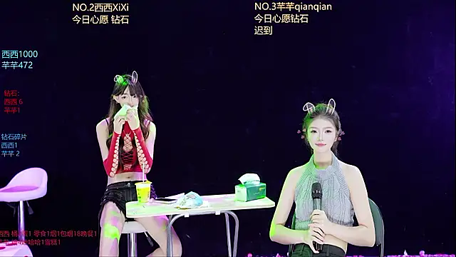XZJJ-008 webcam