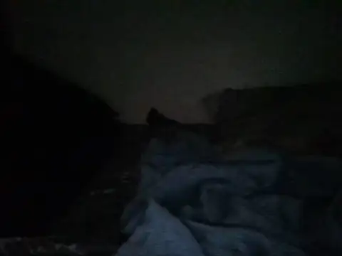 Pretty_ass11 webcam