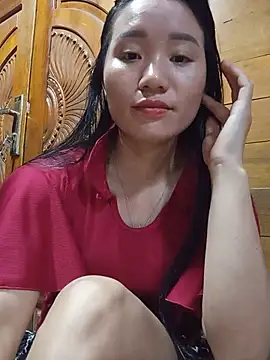 Td3di webcam