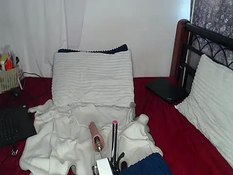 Whimsicalwillow webcam