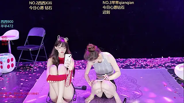 XZJJ-008 webcam
