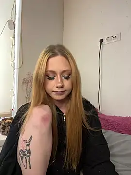 evvsai live cam preview