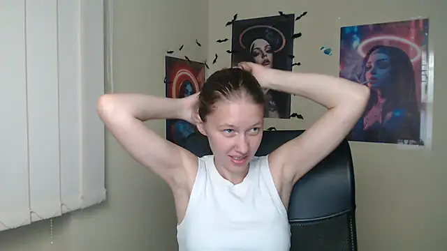 StellaCRL webcam