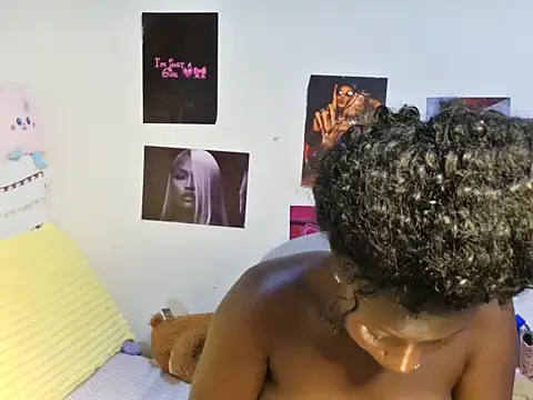 Aria_ah webcam