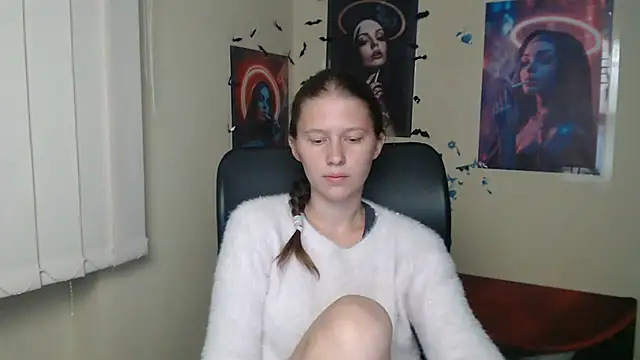 StellaCRL webcam