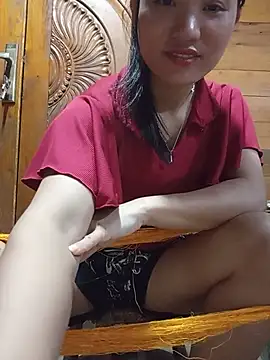 Td3di webcam