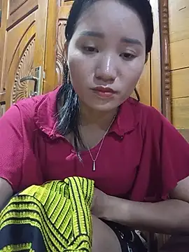 Td3di webcam