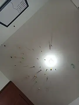 Van3orgasm4me