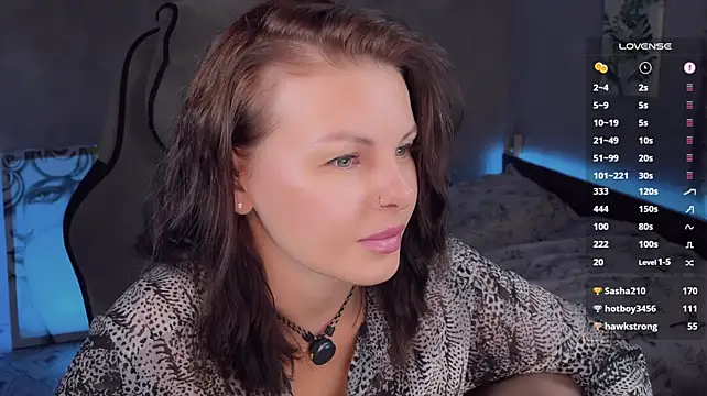 Alaska_ya webcam