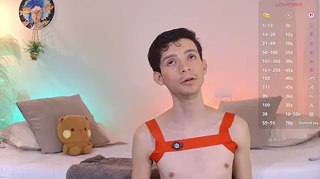 VicenteFerrer webcam