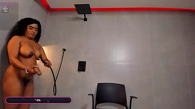 PechBri webcam