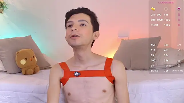 VicenteFerrer webcam