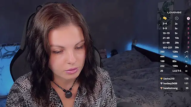 Alaska_ya webcam