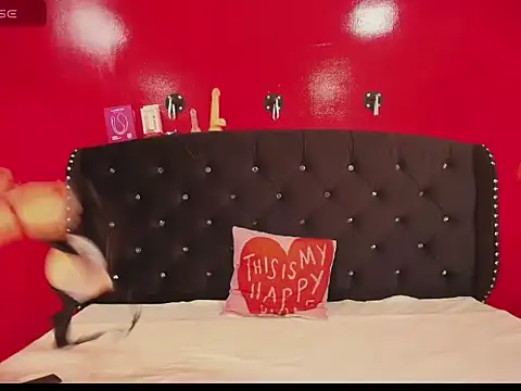 PamelaCollinsVS webcam