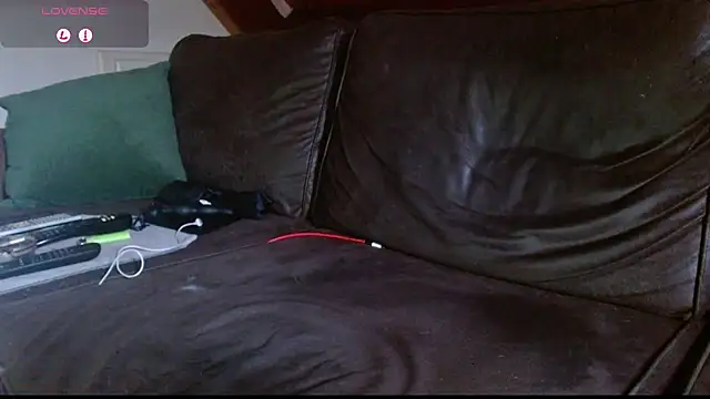 Vrenico-SC webcam