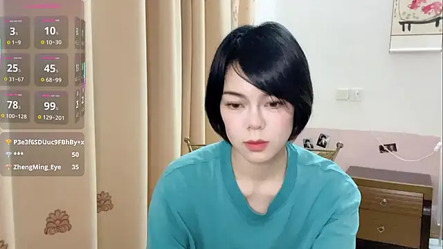 Linda-LL webcam
